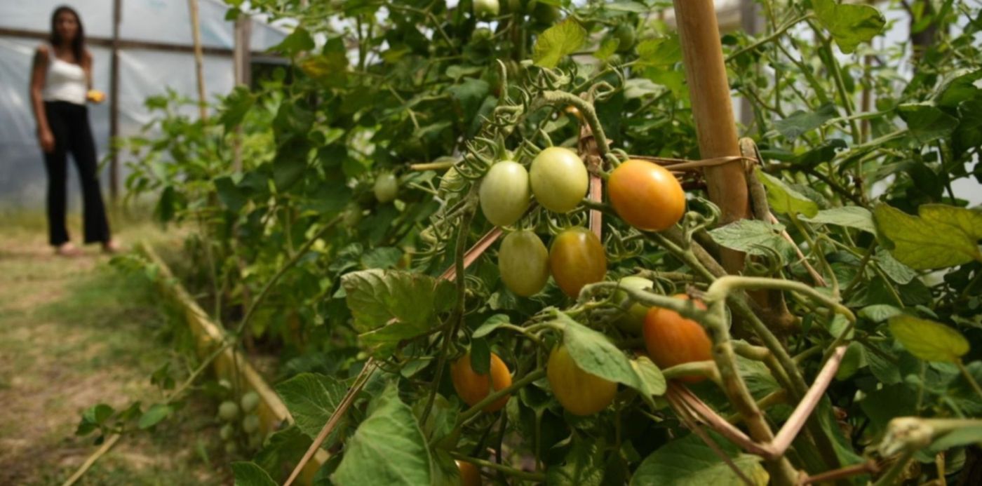 Talleres ambientales Parque Ecológico