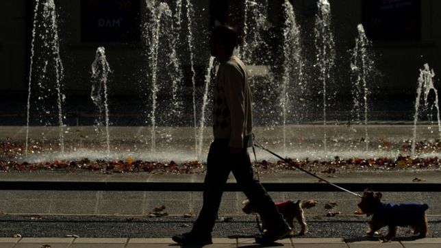 clima en la plata: miercoles templado y ventoso, antes de la llegada de las lluvias
