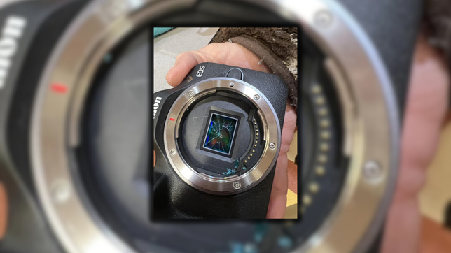 ladrones vaciaron la casa de una fotografa de la plata