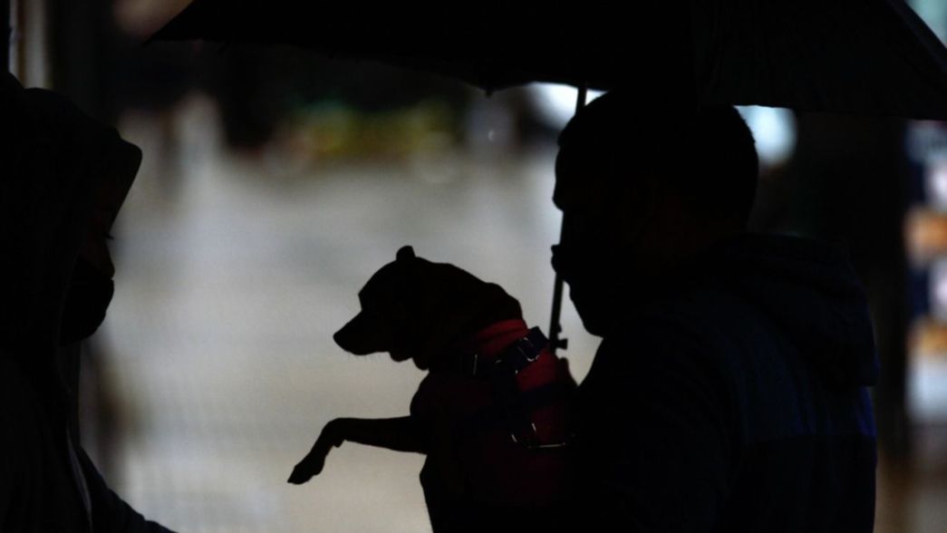 La Plata en alerta por el clima: se esperan fuertes tormentas, vientos y hasta granizo