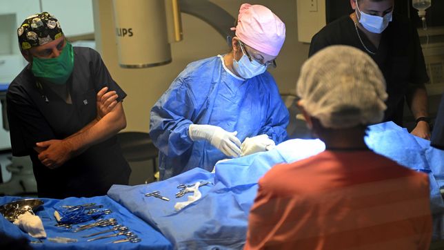asi funciona el hospital de veterinarias que atiende a mas de 5.000 animales por ano