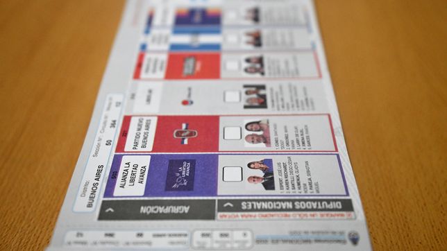 el fiscal federal sostuvo que es imposible reimprimir las boletas y define la camara electoral