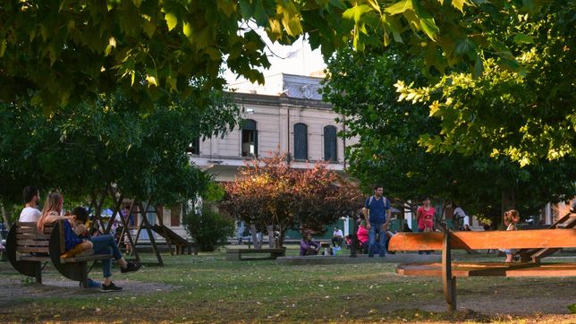 alumnos de la escuela 58 plantaran mas de 40 ejemplares en meridiano v