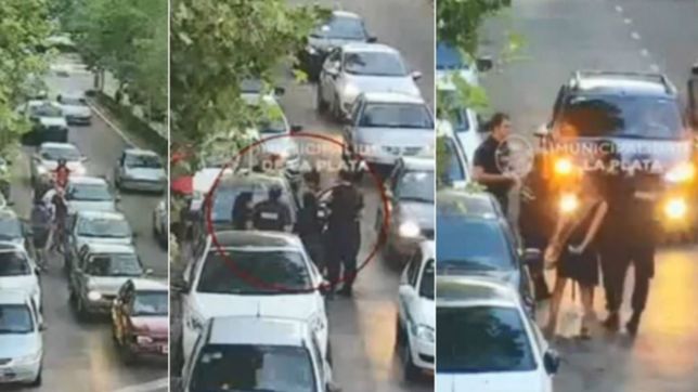 video: rescataron al perrito abandonado en un auto en pleno centro de la plata