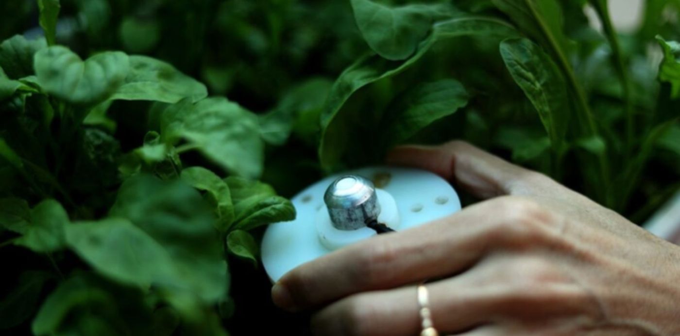 1693943244611.jpg?x=7&y=41&width=1010&height=505&rotate=0&scaleX=1&scaleY=1&ow=1024&oh=683&&cw=1920&ch=950