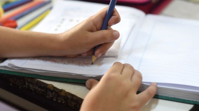 el paso a paso para acceder a la ayuda anual de anses de hasta $7.530