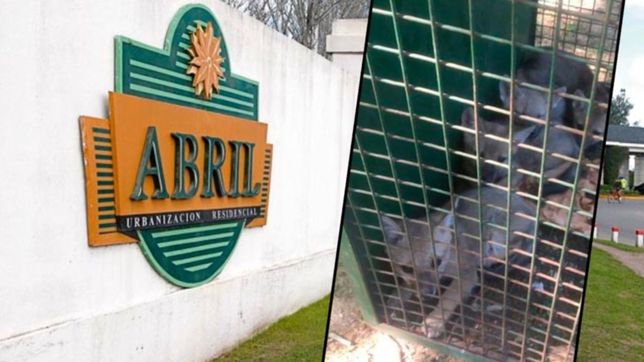 primero los carpinchos y ahora los zorros: asi cazan a los animales en el country abril