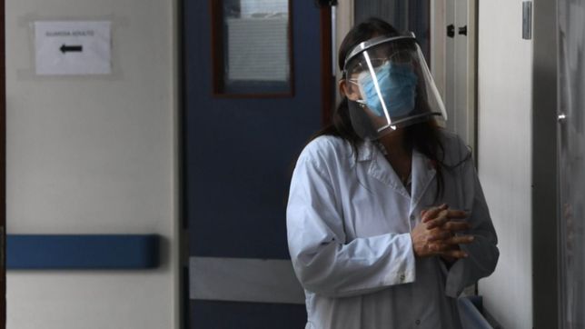 argentina sumo 9.838 casos de coronavirus y 174 muertes en 24 horas