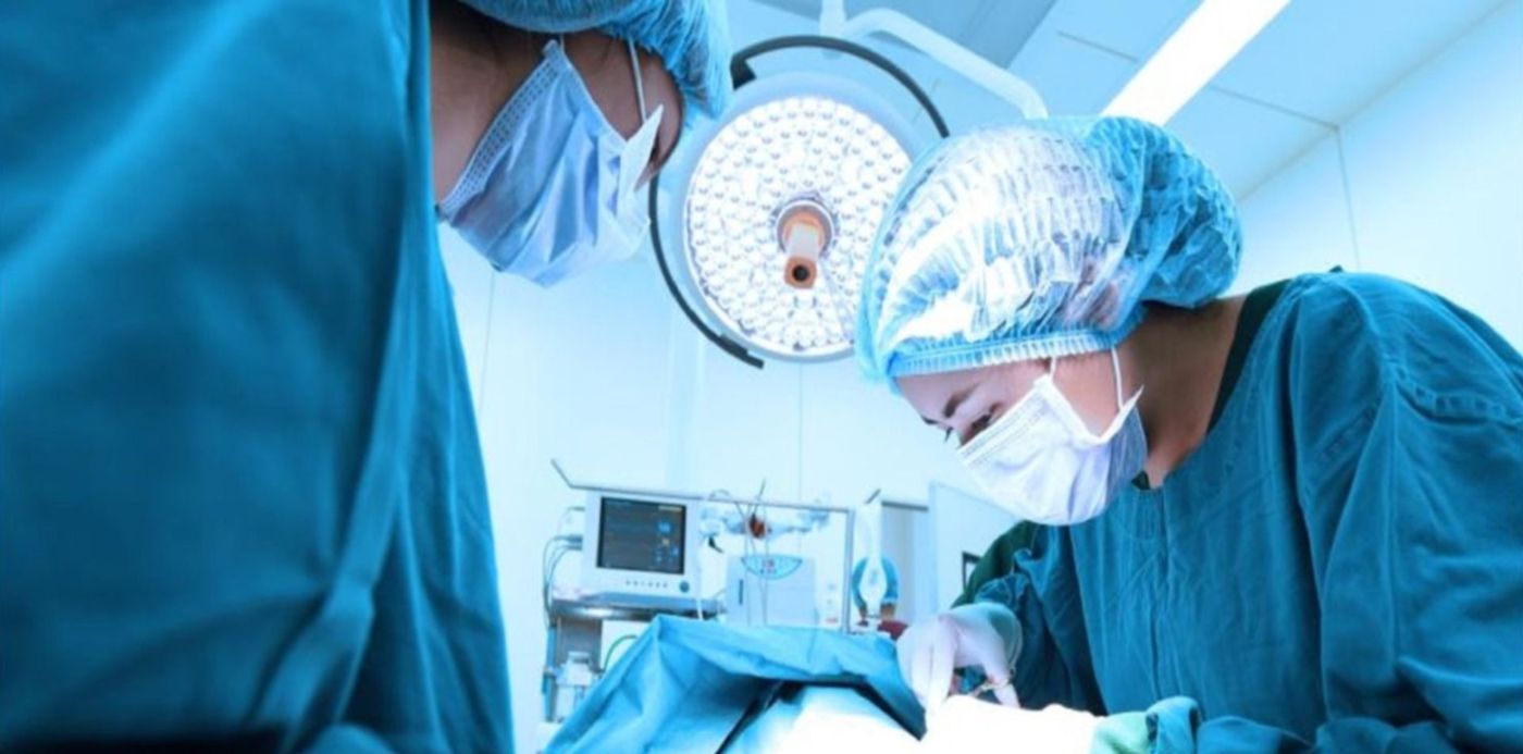 1556133997279.jpg?scaleX=1&ow=1500&y=0&width=1487&height=743&rotate=0&scaleY=1&oh=1001&x=7&&cw=1920&ch=950