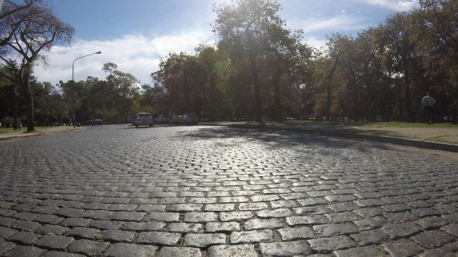 aprobaron en la plata la ordenanza que permite asfaltar calles con adoquines