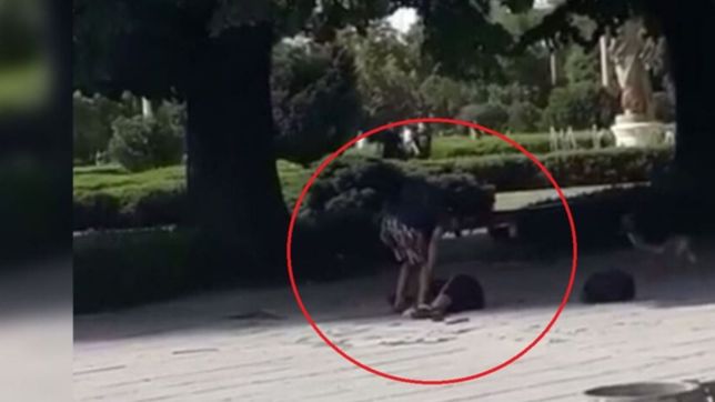 gritos y miedo en plaza moreno: el video del ataque a punaladas de un trapito