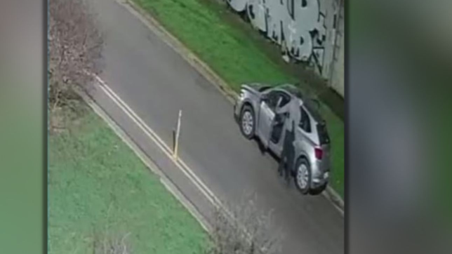 video: armados con escopetas y una maza, ladrones causaron terror en un barrio de la plata