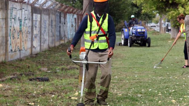 empezaron a limpiar y transformar microbasurales de la plata en espacios verdes