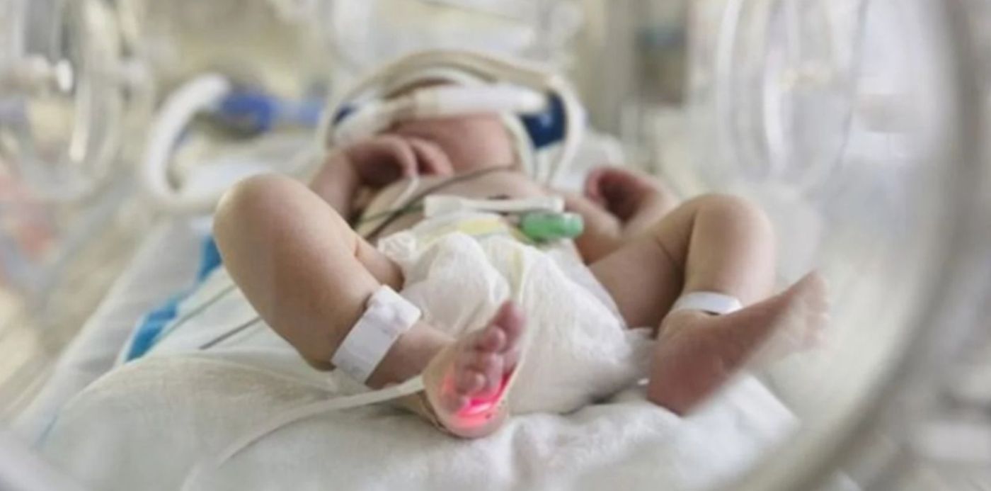 1643574102945.jpeg?x=15&y=44&width=1255&height=627&rotate=0&scaleX=1&scaleY=1&ow=1280&oh=720&&cw=1920&ch=950