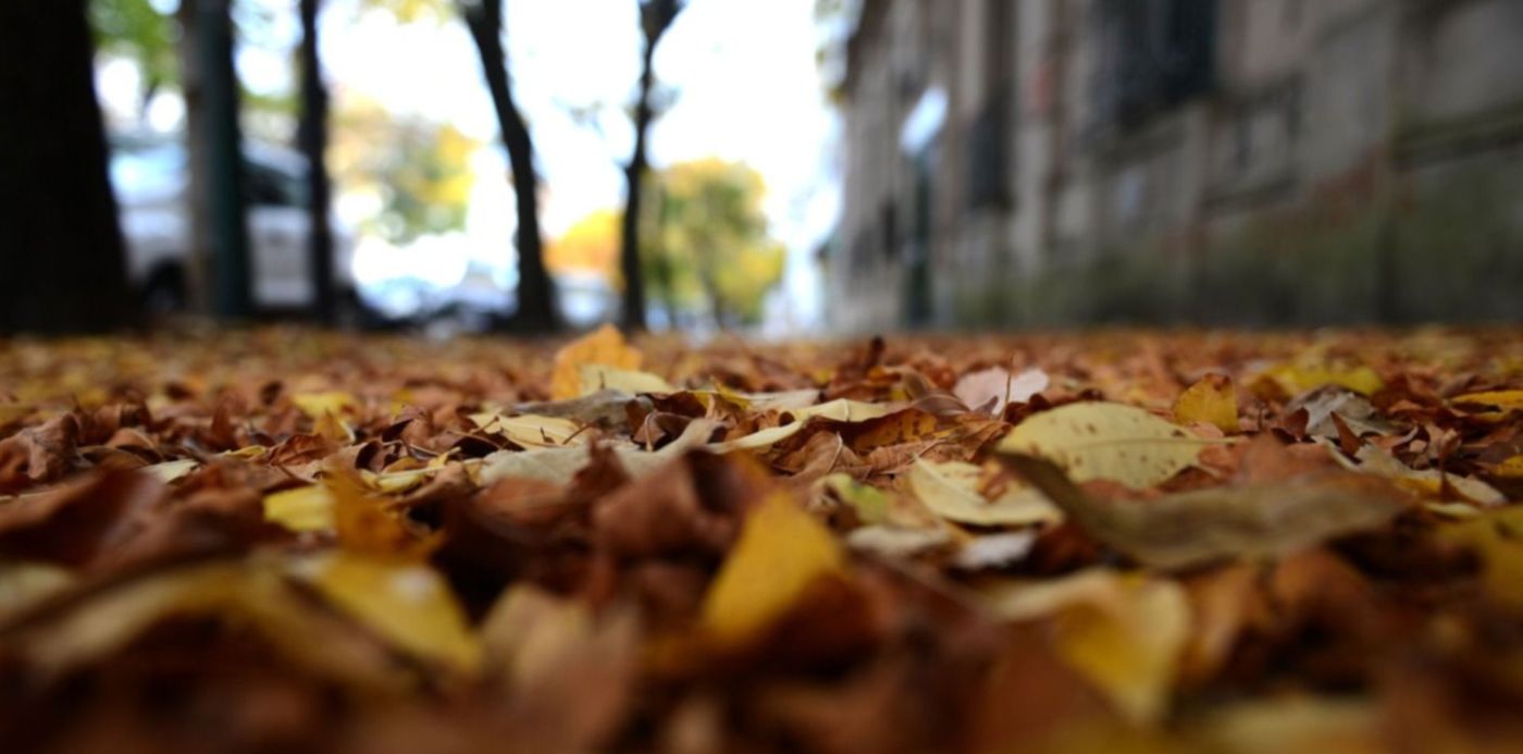 1587694282601.jpg?x=8&y=55&width=1491&height=746&rotate=0&scaleX=1&scaleY=1&ow=1500&oh=996&&cw=1920&ch=950