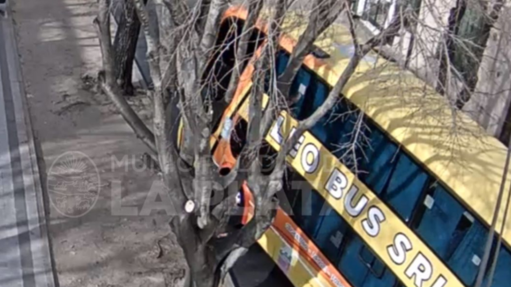 VIDEO: Un micro chocó contra varios autos estacionados en La Plata y se dio a la fuga