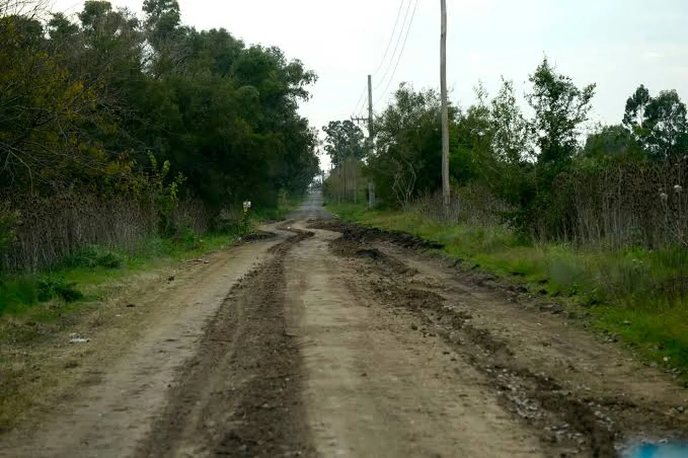 Toma de terrenos intento de ocupación