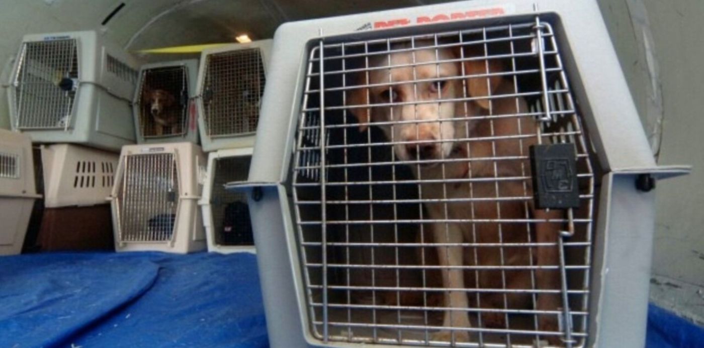 1692637551922.jpg?x=2&y=11&width=1274&height=637&rotate=0&scaleX=1&scaleY=1&ow=1280&oh=724&&cw=1920&ch=950