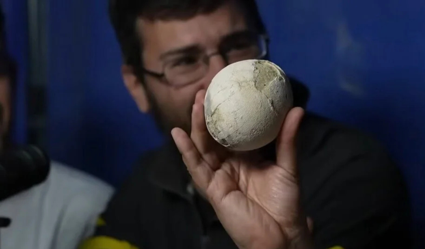 Expedición Cretácica