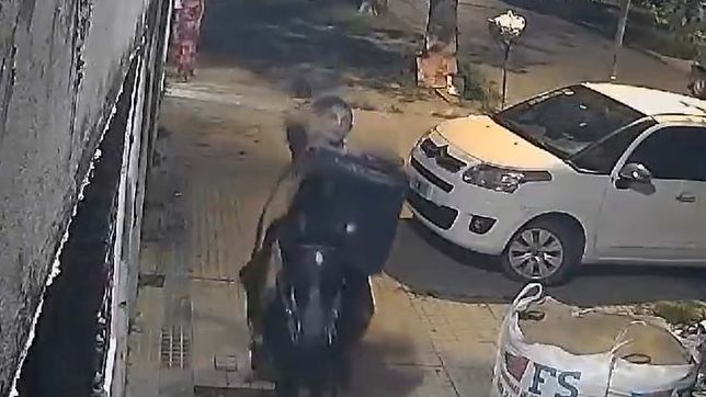 el ladron a caballo volvio a atacar en la plata