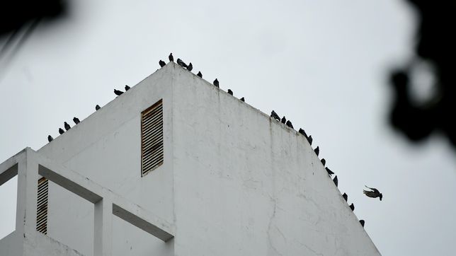 viernes gris y de lluvia en la plata, en la previa de un fin de semana de sol