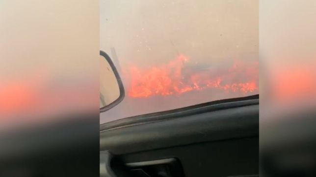 parece el fin del mundo: nuevos focos de incendio a la vera de la ruta 2