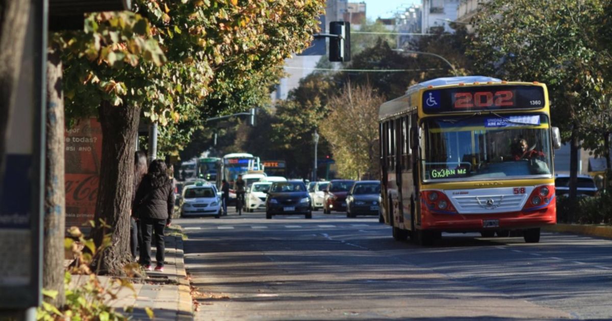 Los micros ya funcionan en La Plata con la frecuencia de verano y lo ...