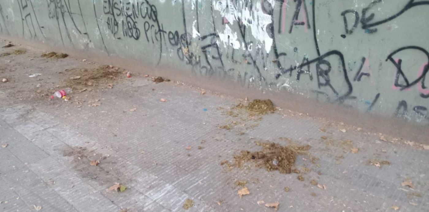 1678734402999.jpeg?x=10&y=188&width=1267&height=634&rotate=0&scaleX=1&scaleY=1&ow=1280&oh=960&&cw=1920&ch=950