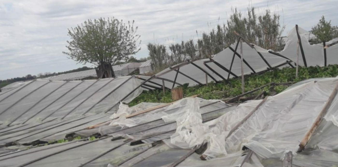 1537741061413.jpeg?y=168&width=1022&scaleY=1&ow=1032&x=5&height=511&rotate=0&scaleX=1&oh=774&&cw=1920&ch=950