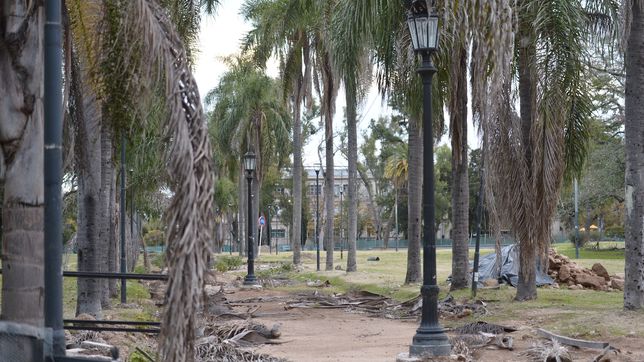 postergaron la apertura de los sobres de la licitacion de las obras en el parque saavedra
