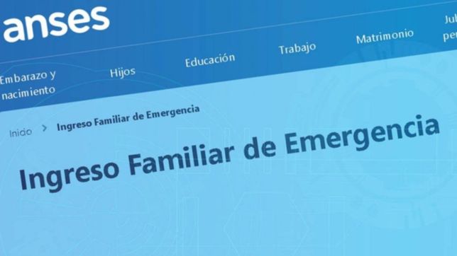 uno por uno: todos los pasos para anotar los datos en anses y cobrar el bono de $10.000