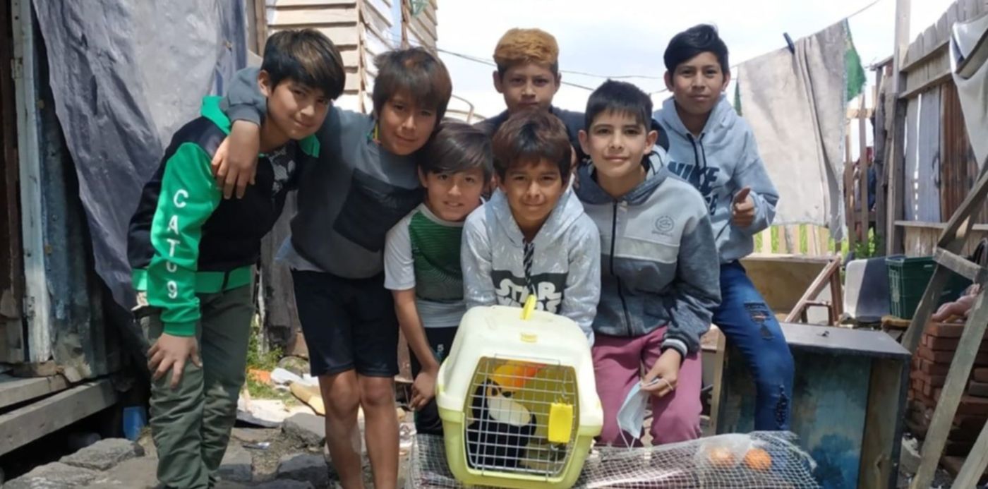 1602522249661.jpeg?x=13&y=56&width=1248&height=624&rotate=0&scaleX=1&scaleY=1&ow=1280&oh=766&&cw=1920&ch=950