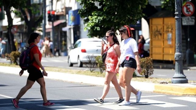 viernes soleado en la plata: ¿como estara el clima para la final del mundial?