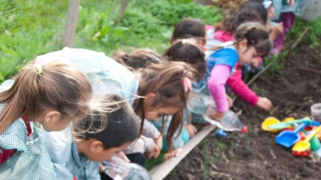 internos de una carcel platense donaron mas de 100 plantas a un jardin de infantes