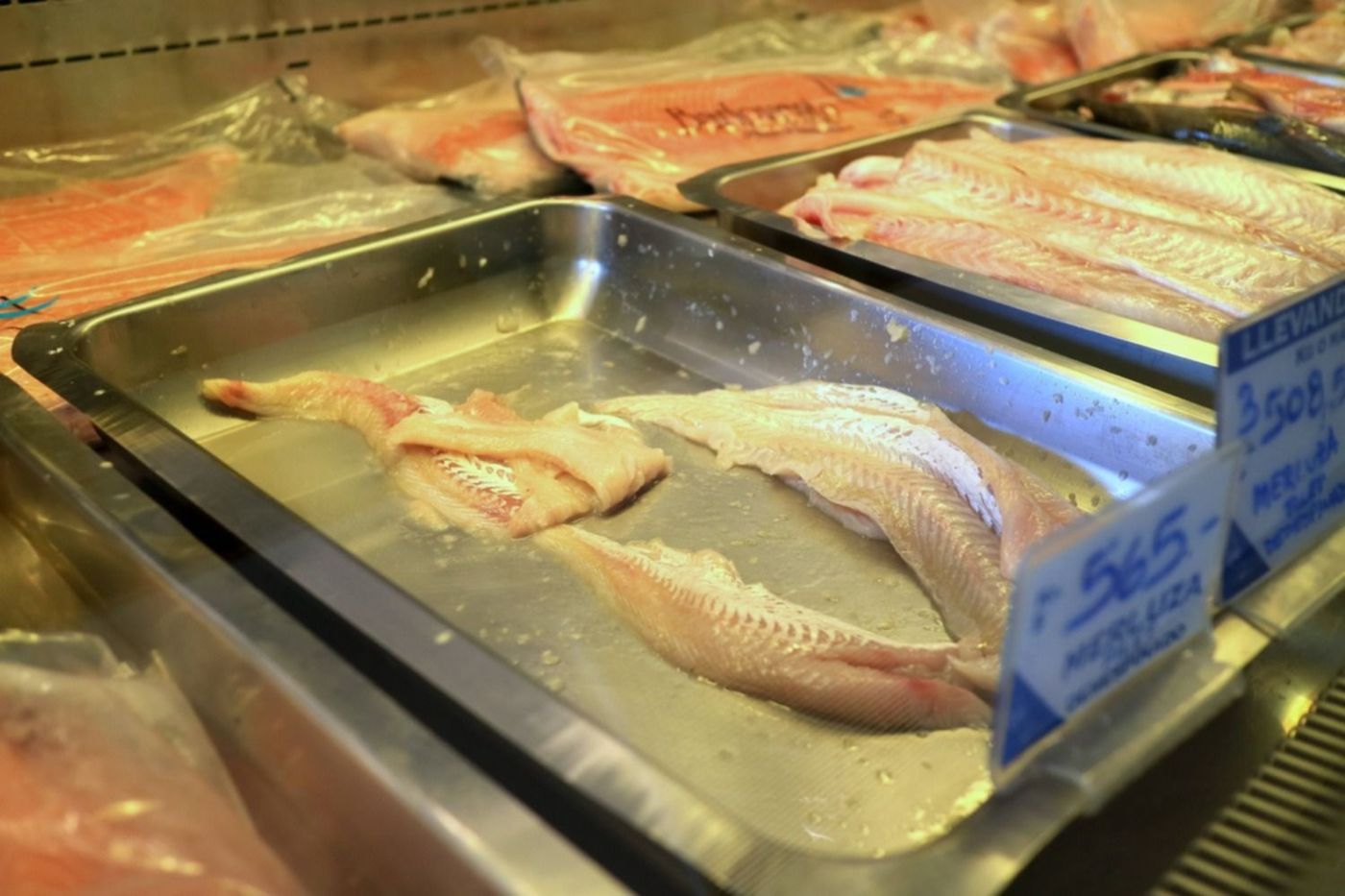 Pescados Pescadería Semana Santa Barlovento