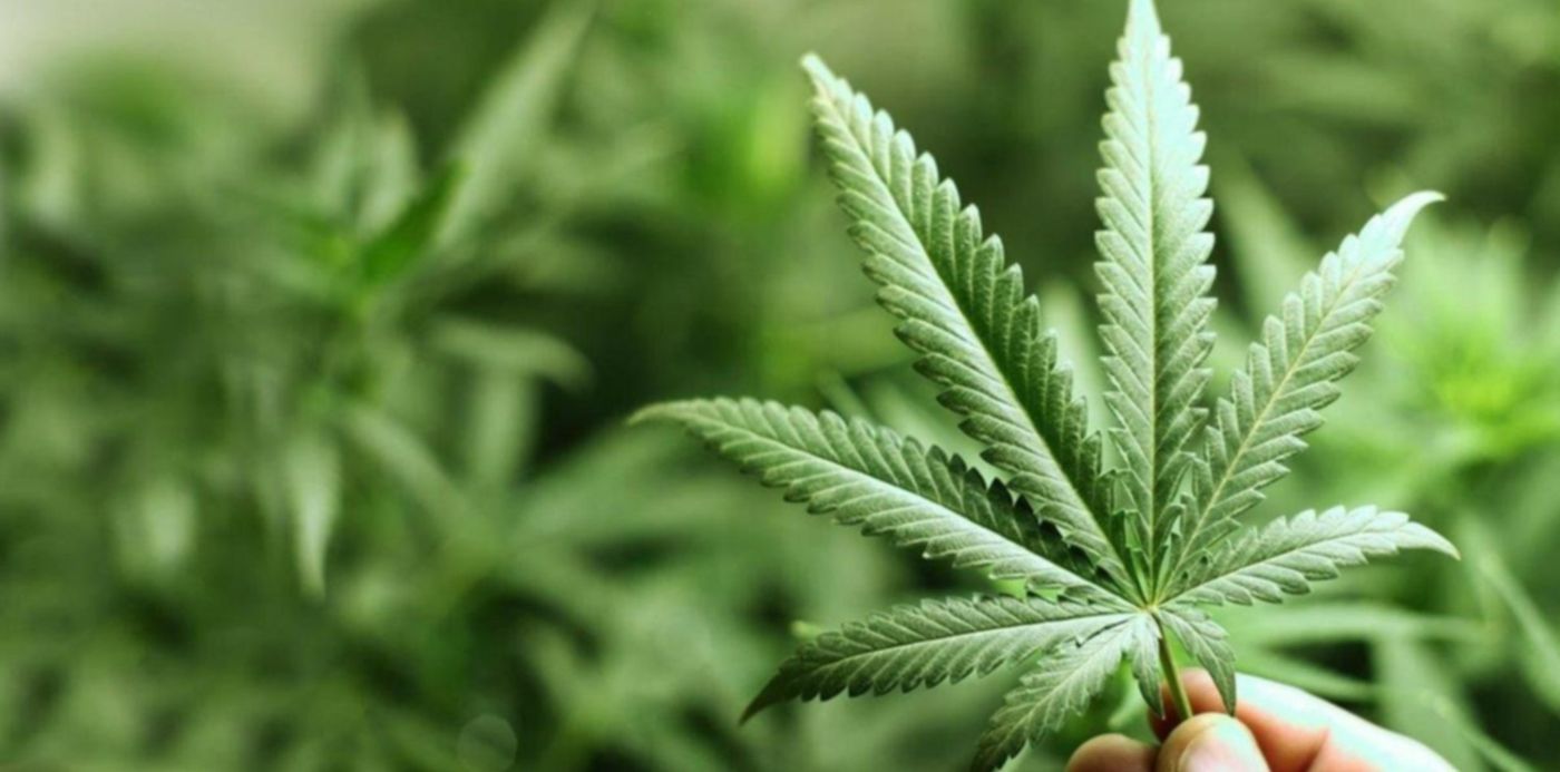 1537539588200.jpg?rotate=0&scaleY=1&ow=1200&x=2&y=32&width=1196&height=598&scaleX=1&oh=640&&cw=1920&ch=950