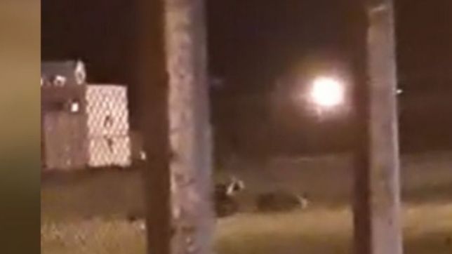 el falso video de un motin en el penal de lisandro olmos que se viralizo