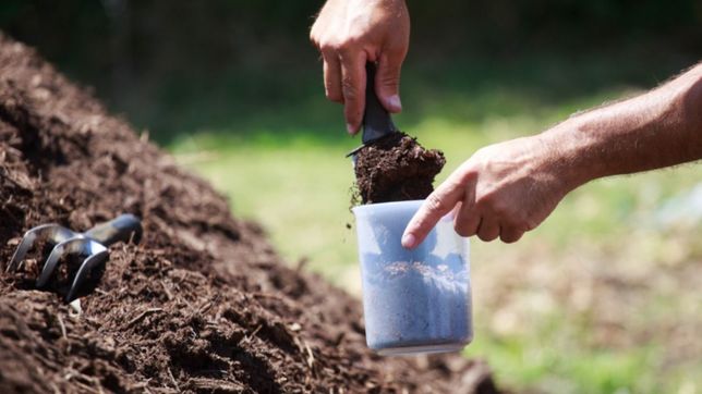 impulsan la creacion de un programa de compostaje comunitario en la plata