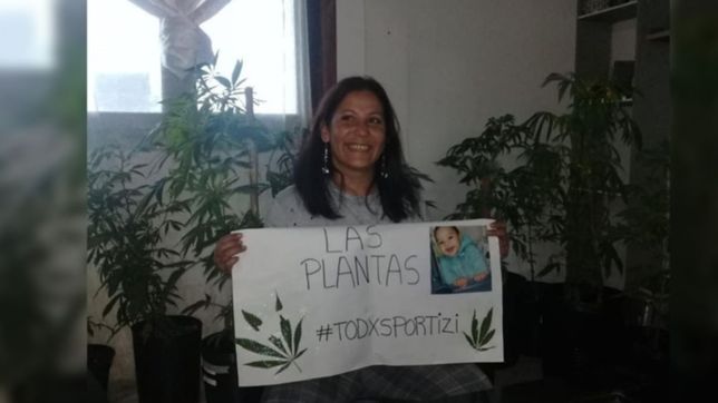le devolvieron las plantas a la abuela que cultiva marihuana para su nieto enfermo