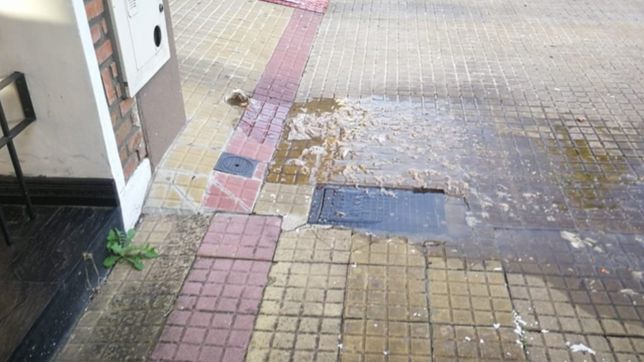 desbordo una cloaca en 20 y 62 y los vecinos no dan mas: el olor es terrible