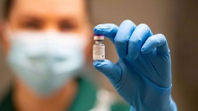 el gobierno retomo las negociaciones para adquirir vacunas de pfizer