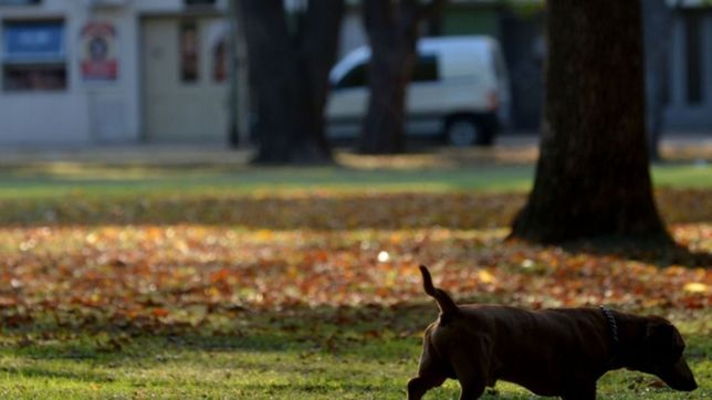 fresco al principio pero soleado y agradable: asi se viene un nuevo finde otonal