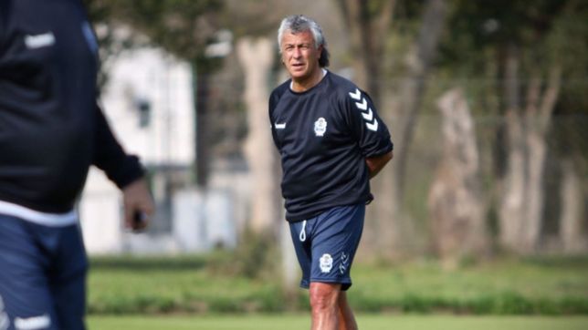 gorosito arma el rompecabezas para recibir a talleres en el bosque