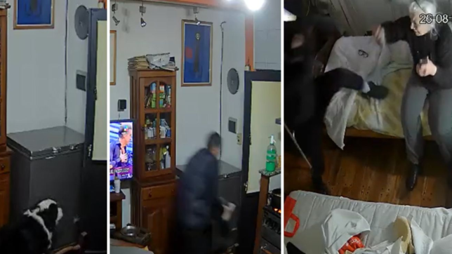 balearon a un perro y golpearon a una abuela: videos del brutal robo de la tete banda