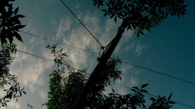 una vecina platense teme morir por un poste que cayo sobre los cables de edelap