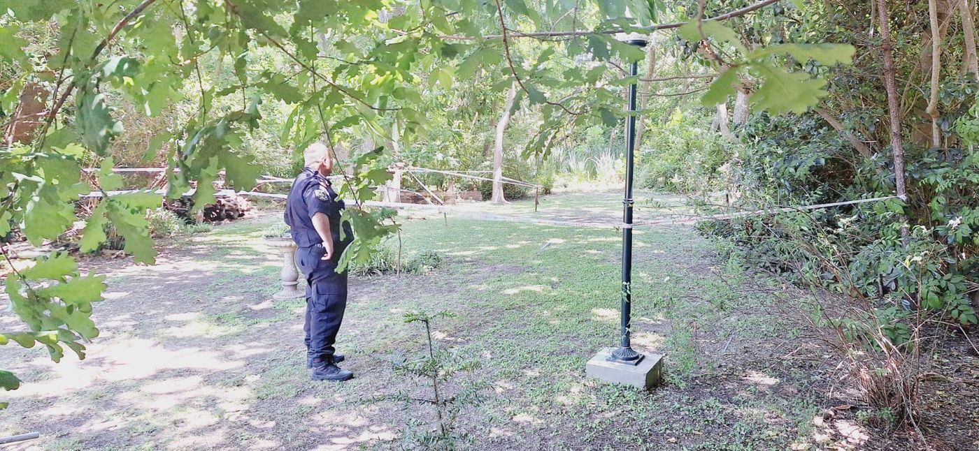 WhatsApp Image 2024-10-31 at 13.48.26.jpeg