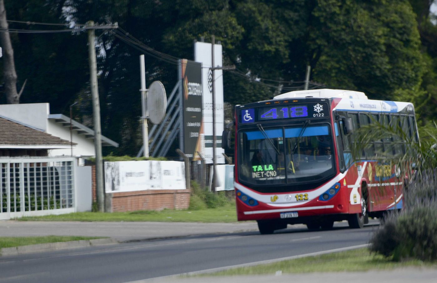 Micros Colectivos 273 (3)