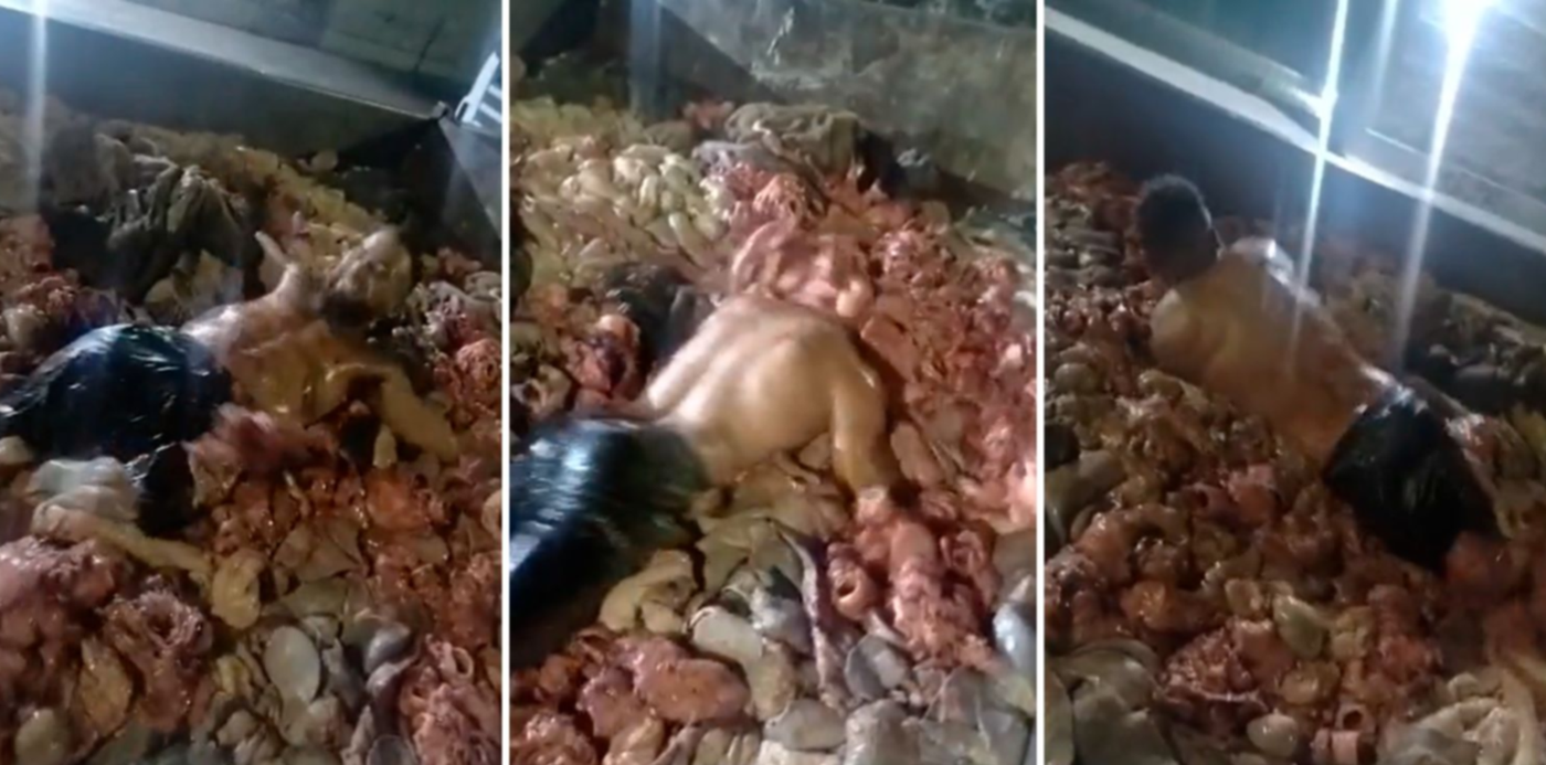 1675017404982.jpg?x=8&y=0&width=1484&height=742&rotate=0&scaleX=1&scaleY=1&ow=1500&oh=742&&cw=1920&ch=950