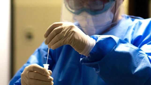 covid-19 en argentina: 375 muertes y casi 25 mil casos