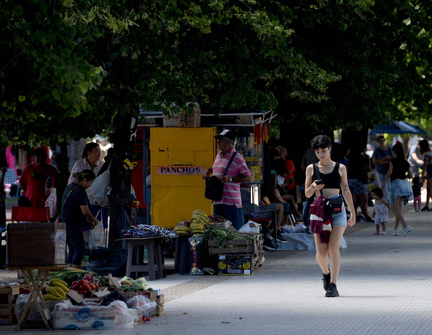 Clima Verano Calor (41).JPG